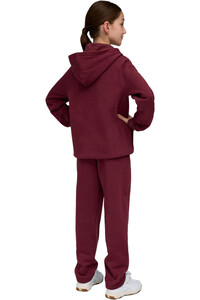 Puma chándal niño Metallic Hooded Swea vista trasera