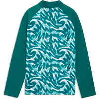 Puma chubasquero y chaquetones entrenamiento fútbol niño FPF Warm Up 1/4 Zip vista trasera