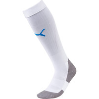 Team LIGA Socks CORE