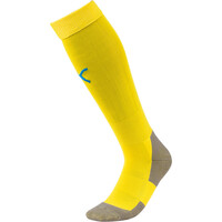 Team LIGA Socks CORE