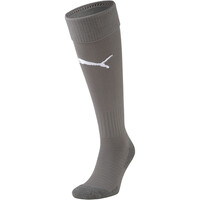 Team LIGA Socks CORE