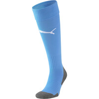 Team LIGA Socks CORE