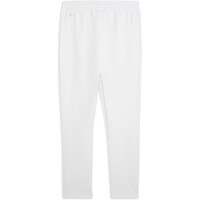 Puma pantalón hombre EVOSTRIPE Pants DK op vista trasera