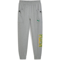 Puma pantalón hombre Rival Rage Tech Pant 03