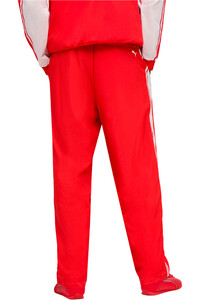 Puma pantalón hombre SF Replica Drivers A vista trasera