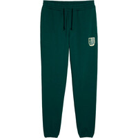 Puma pantalón hombre SPORTS LEGACY Graphic Sweatpants TR cl vista detalle