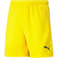 Puma pantalones cortos futbol niño teamRISE Short Jr vista frontal