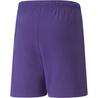 Puma pantalones cortos futbol niño teamRISE Short Jr vista trasera