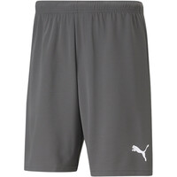 teamRISE Short