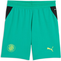 GFC Shorts Replica J