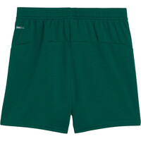 Puma pantalones fútbol oficiales niño PORTUGAL 25 Shorts Replica Jr 04