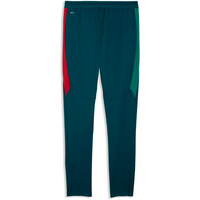 Puma pantalones largos futbol FPF Training Pants w 03