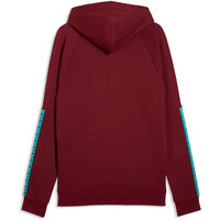 Puma sudadera entrenamiento fútbol FPF KING Hoodie 03