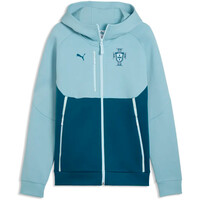 FPF PUMATECH FZ Hood