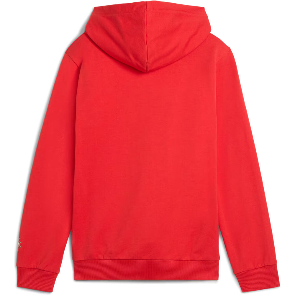 Puma sudadera entrenamiento fútbol niño PORTUGAL 25 ftblNRGY Hoodie Jr vista trasera