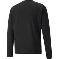 Puma sudadera entrenamiento fútbol teamLIGA Training Sweat vista trasera