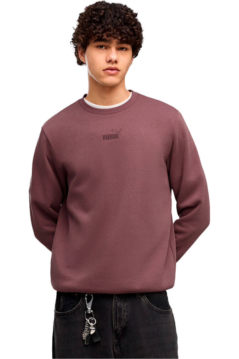 Puma sudadera hombre ESS Small No.1 Logo vista frontal