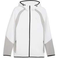 Puma sudadera hombre EVOSTRIPE FZ Hoodie vista frontal