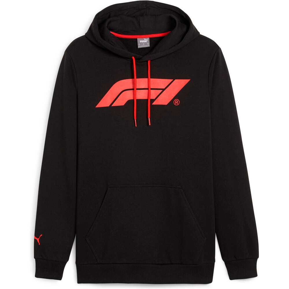 Puma sudadera hombre F1 ESS Logo Hoodie vista detalle
