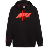 F1 ESS Logo Hoodie
