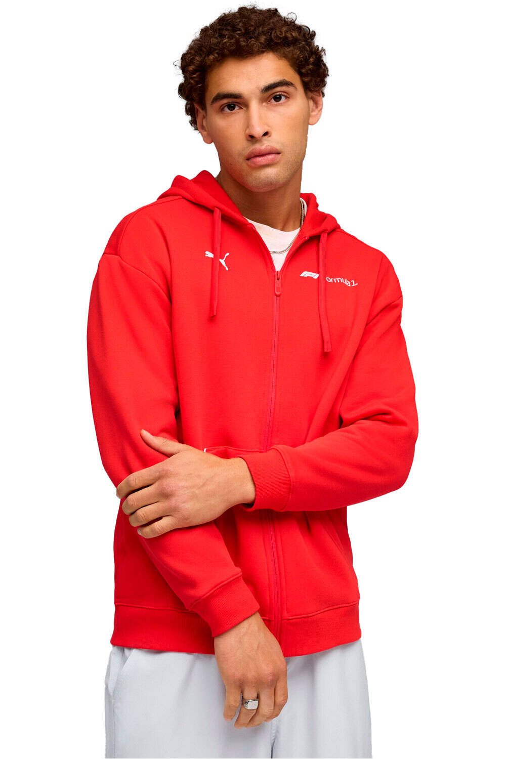 Puma sudadera hombre F1 Essential+ Fullzi vista frontal