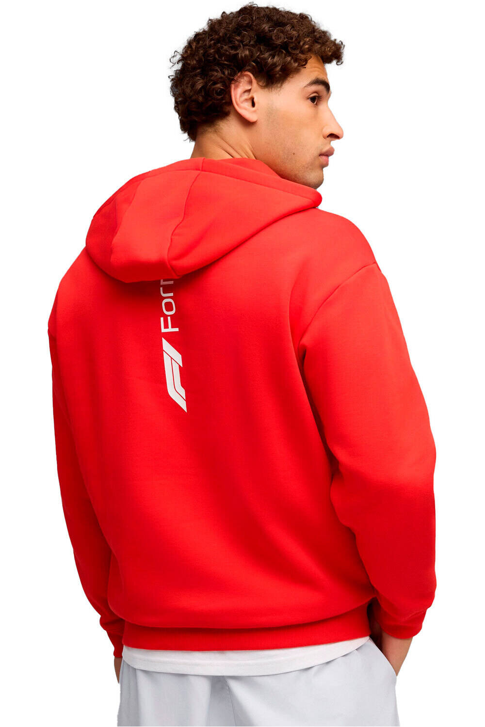 Puma sudadera hombre F1 Essential+ Fullzi vista trasera