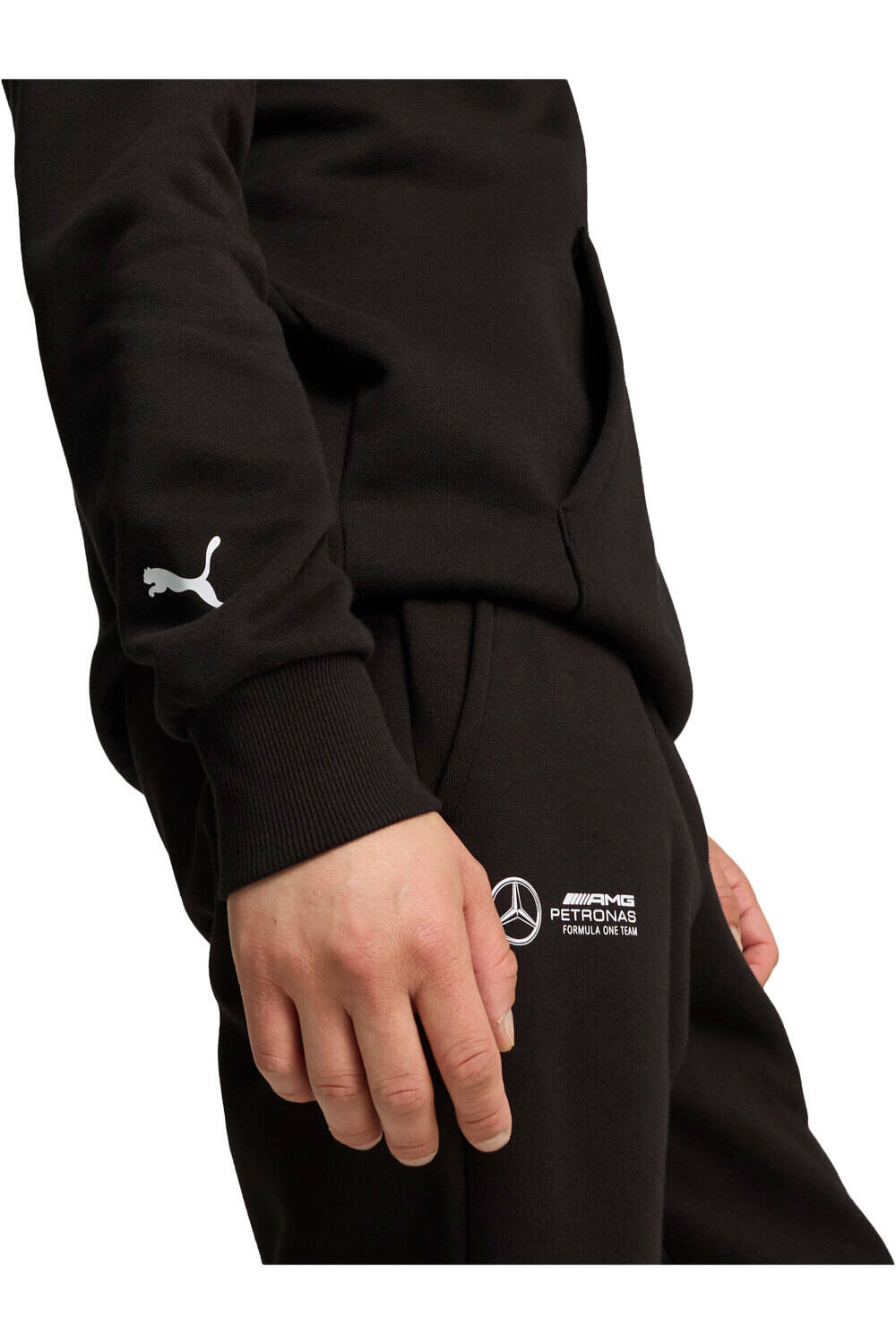 Puma sudadera hombre MAPF1 ESS Hoodie vista detalle