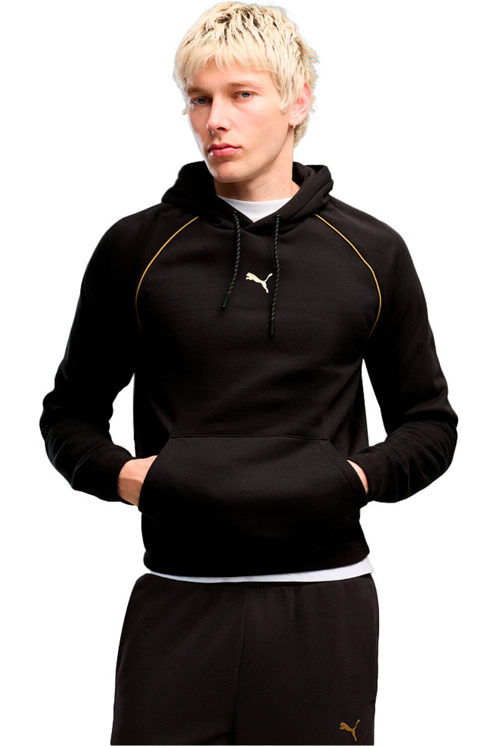 Puma sudadera hombre PUMA SPORT Graphic H vista frontal