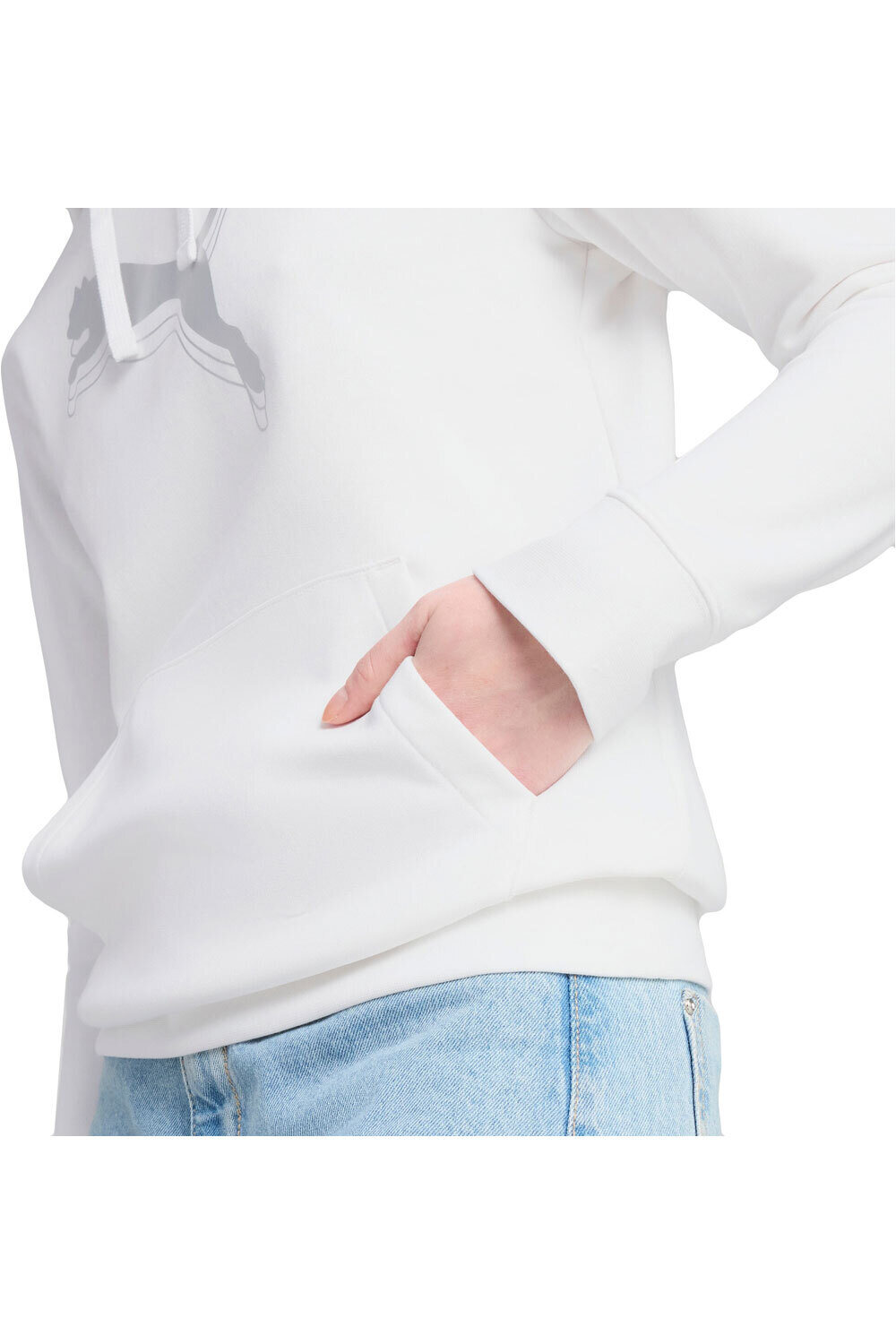 Puma sudadera mujer ESS METALLIC Hoodie TR vista detalle