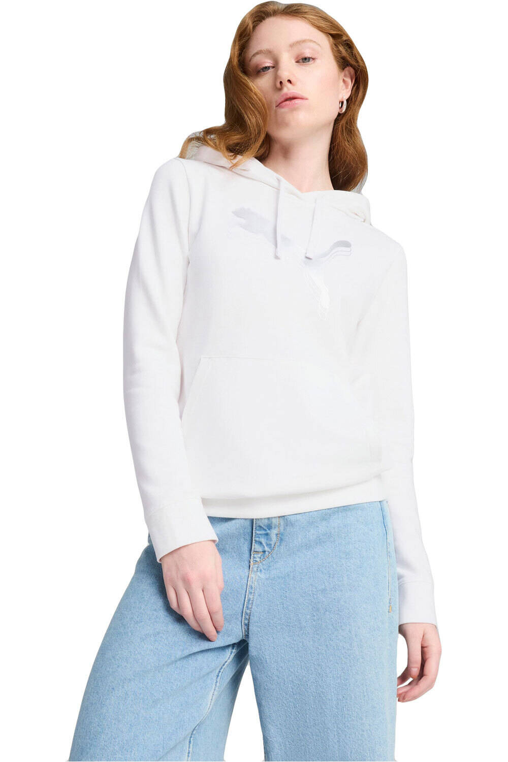 Puma sudadera mujer ESS METALLIC Hoodie TR vista frontal