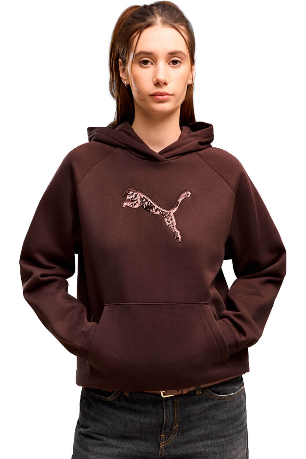 Puma sudadera mujer ESS SEQUINS Standard vista frontal