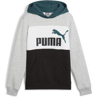 Puma sudadera niño ESS BLOCK Hoodie FL vista frontal