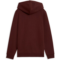 Puma sudadera niño ESS ELEVATED Hoodie 04
