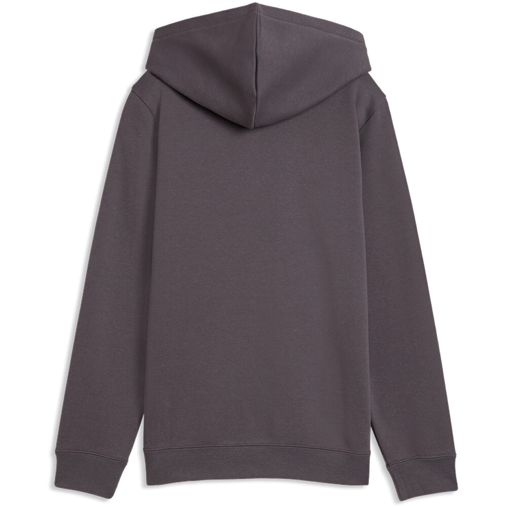 Puma sudadera niño ESS ELEVATED Hoodie 04