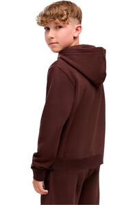 Puma sudadera niño ESS ELEVATED Hoodie vista trasera
