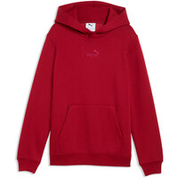 Puma sudadera niño ESS Small No.1 Logo vista frontal