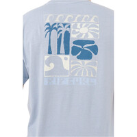 Rip Curl camiseta manga corta hombre AOTS TY WILLIAMS COASTLINE TEE 03