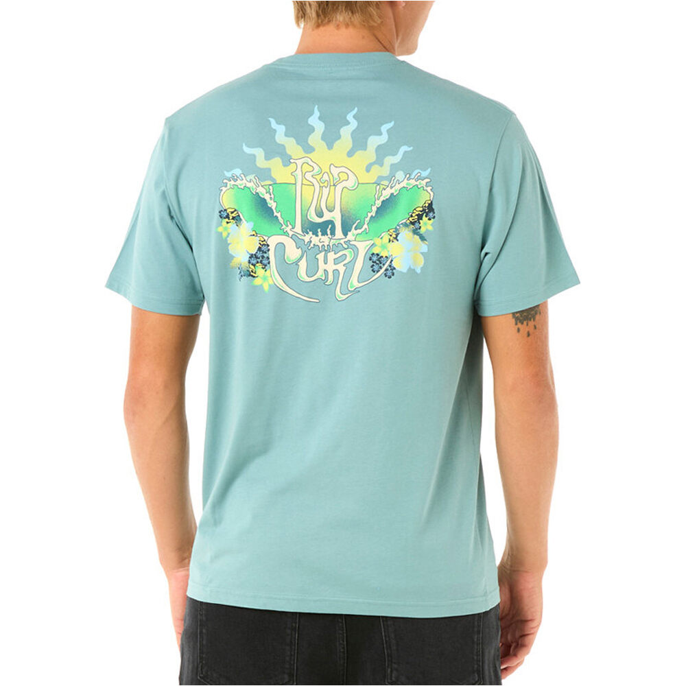 Rip Curl camiseta manga corta hombre DAZED TEE vista trasera