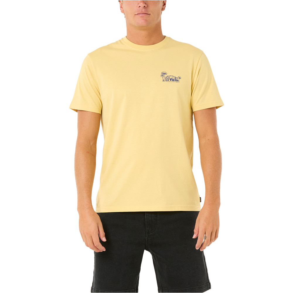 Rip Curl camiseta manga corta hombre KEEP ON TRUCKING TEE vista frontal