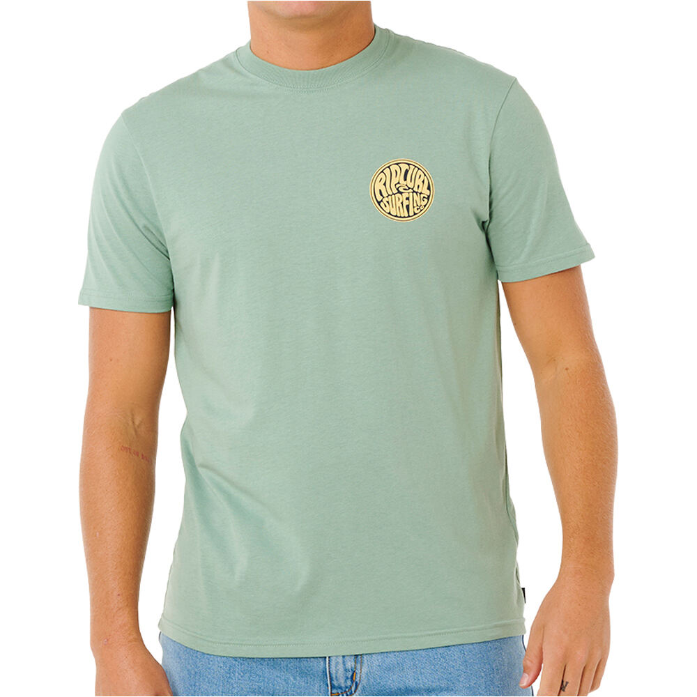 Rip Curl camiseta manga corta hombre _M_STREAMLINE PALMY TEE vista frontal