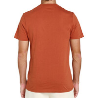 Rip Curl camiseta manga corta hombre _M_STREAMLINE PALMY TEE vista trasera