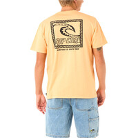 Rip Curl camiseta manga corta hombre RAW ENERGY TRAD TEE vista trasera
