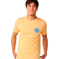 Rip Curl camiseta manga corta hombre STREAMLINE LIKE PASSAGE TEE 03