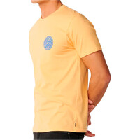 Rip Curl camiseta manga corta hombre STREAMLINE LIKE PASSAGE TEE vista detalle
