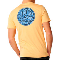 Rip Curl camiseta manga corta hombre STREAMLINE LIKE PASSAGE TEE vista trasera