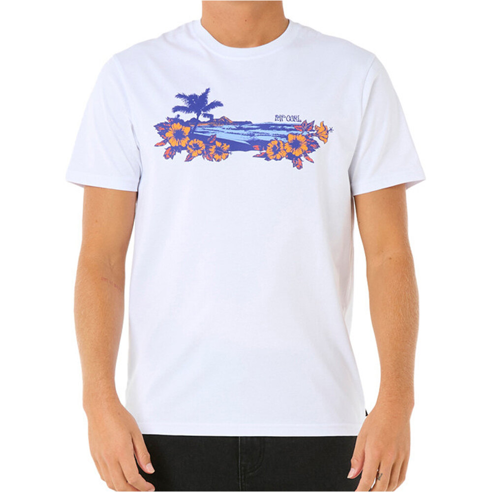 Rip Curl camiseta manga corta hombre SURF PARADISE TEE vista frontal