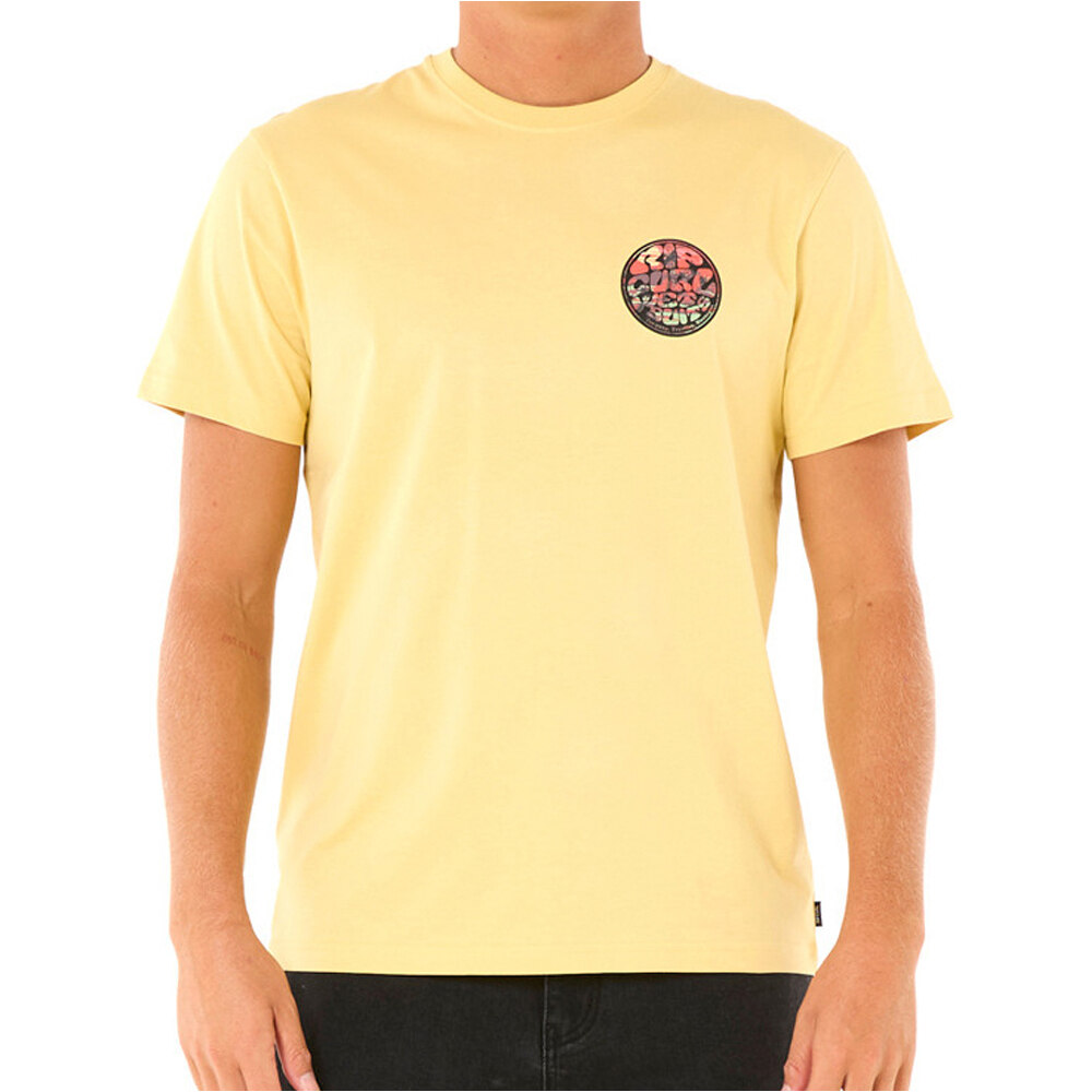 Rip Curl camiseta manga corta hombre WETTIE PASSAGE ICON TEE vista frontal