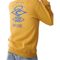 Rip Curl sudadera hombre SEARCH ICON HOOD vista detalle