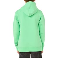 Rip Curl sudadera niño RAW ENERGY LOGO HOOD - BOY vista trasera