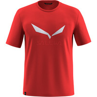 Salewa camiseta montaña manga corta hombre SOLIDLOGO DRY M T-SHIRT vista frontal